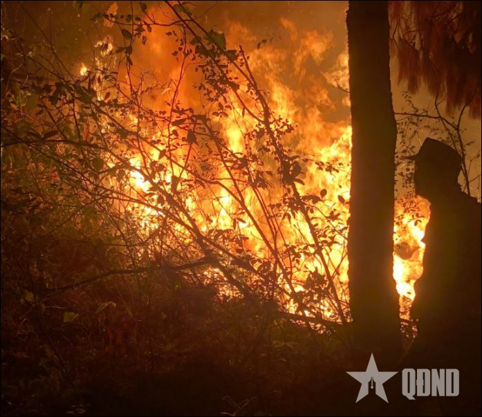 80 cán bộ, chiến sĩ Sư đoàn 395, Quân khu 3 khống chế thành công cháy rừng